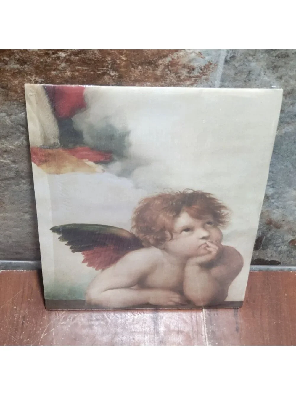 Vintage Unframed Sistine Madonna Cherubs Angelo I Art Print Raphael Angels 1995